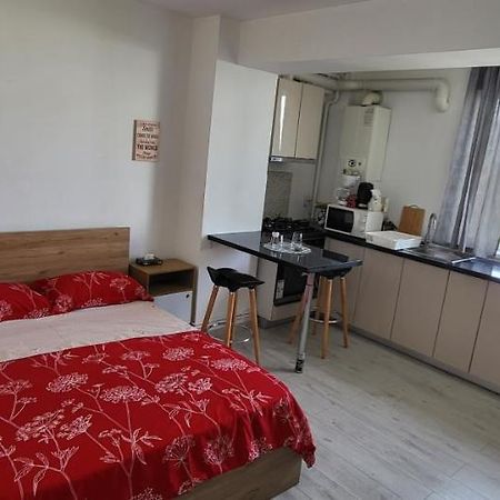 Self Check-In Studio 22 Bulevardul Oltenia Craiova Eksteriør bilde